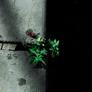 国产蜜臀白浆免费
